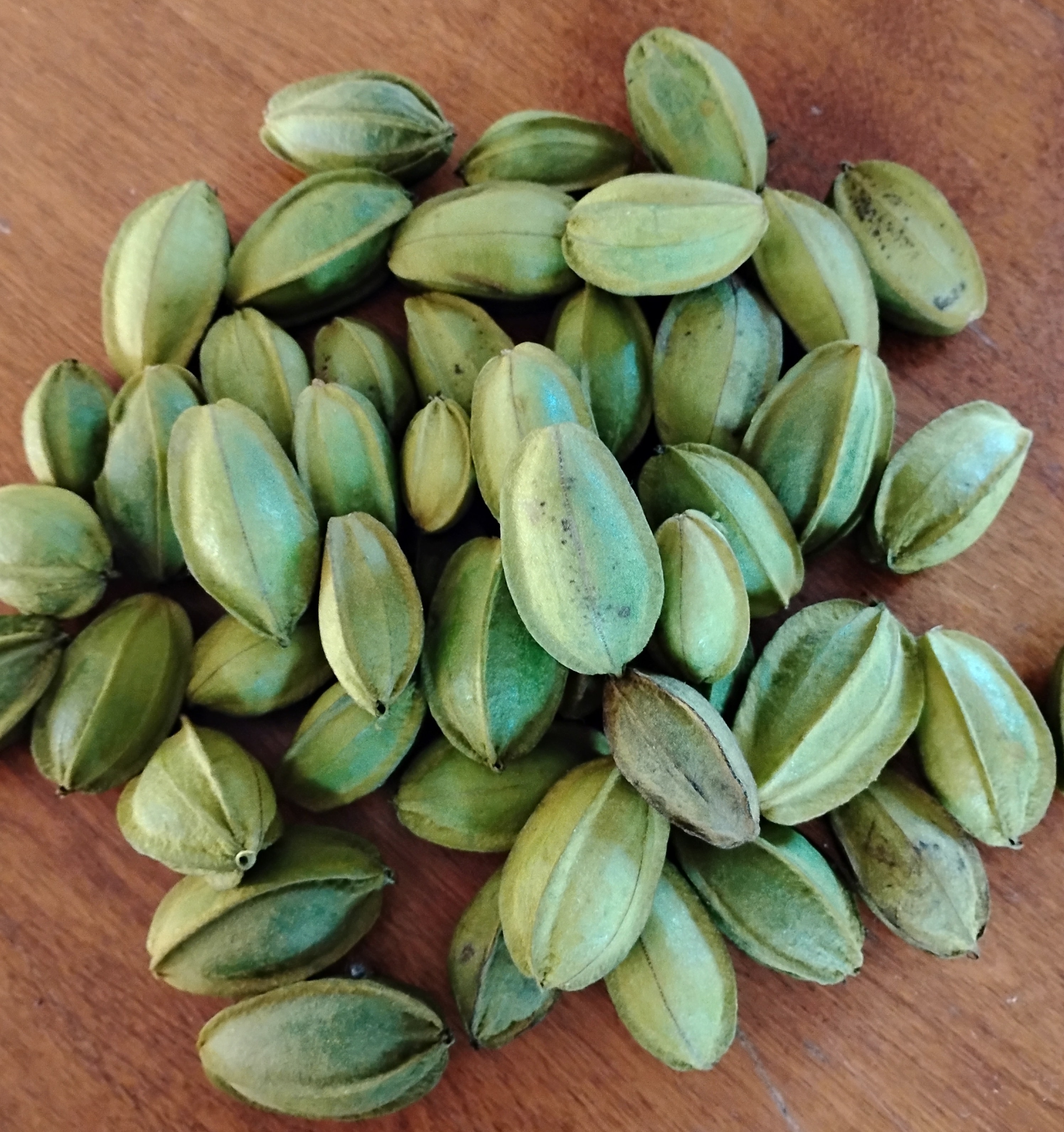 Pecans